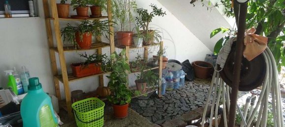 10 Schlafzimmer Villa in Torrao, Portugal, Nr. 20568 18