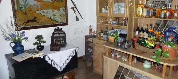 10 Schlafzimmer Villa in Torrao, Portugal, Nr. 20568 6