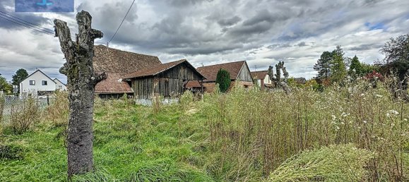 4 bedrooms House in Rhinau, France No. 219302 24