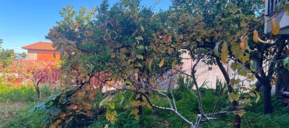 7 rooms House in Mascali, Italy No. 157829 26