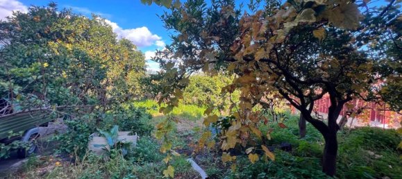 7 rooms House in Mascali, Italy No. 157829 29