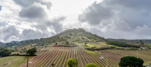 Дом с 2 спальнями в Торриш Ведраш, Португалия № 48704 31