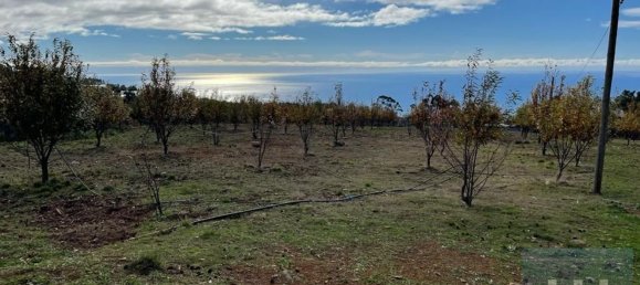 10000m² Land in Calheta, Portugal No. 109562 13