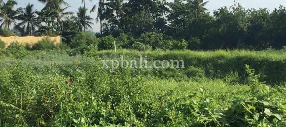 Terreno en Gianyar, Indonesia 1430 m² No. 3830 2