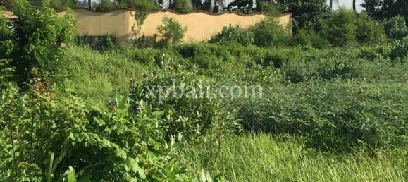 Terreno en Gianyar, Indonesia 1430 m² No. 3830 9