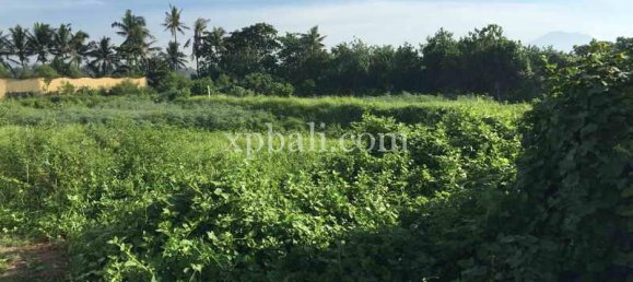 Terreno en Gianyar, Indonesia 1430 m² No. 3830 5