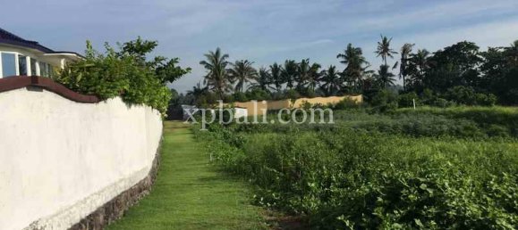 Terreno en Gianyar, Indonesia 1430 m² No. 3830 6