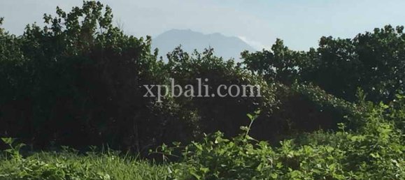 Terreno en Gianyar, Indonesia 1430 m² No. 3830 3