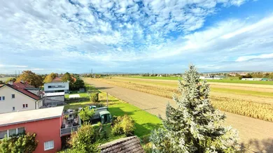 4-salle Appartement à Bisamberg, Austria No. 235637