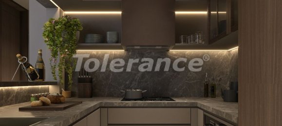 Appartement 1+1 à Istanbul, Turkey No. 12331 6