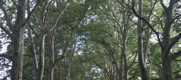 72 rooms Castles in Blet, France No. 66535 23