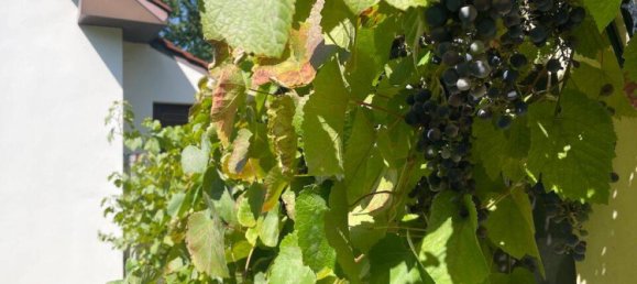 Вилла с 4 комнатами в Потсдам-Миттельмарк, Германия № 269094 2