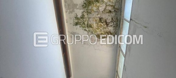 3 rooms Apartment in Carrara, Italy No. 49139 20