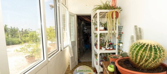 Villa T3 em Jolanda di Savoia, Italy N.º 341918 14