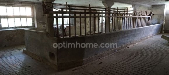 Casa T2 em Meurcourt, France N.º 196134 8