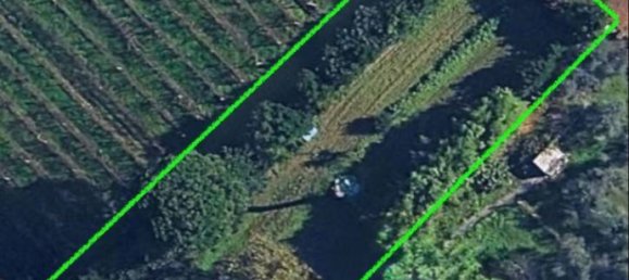 5 chambres Maison à Campi Bisenzio, Italy No. 302008 3