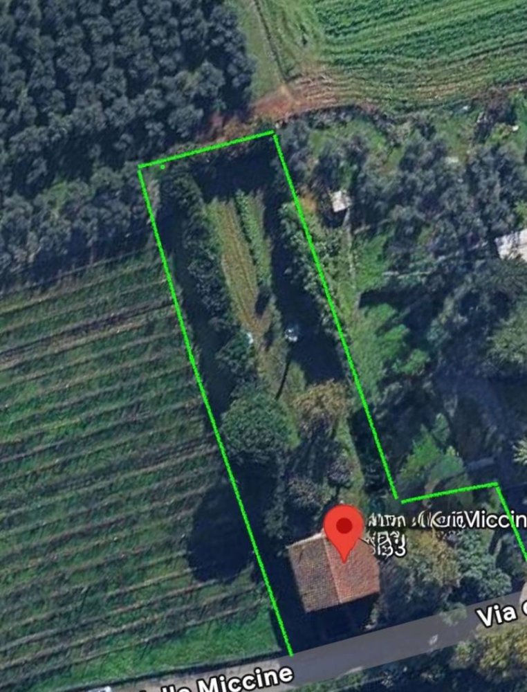 5 chambres Maison à Campi Bisenzio, Italy No. 302008