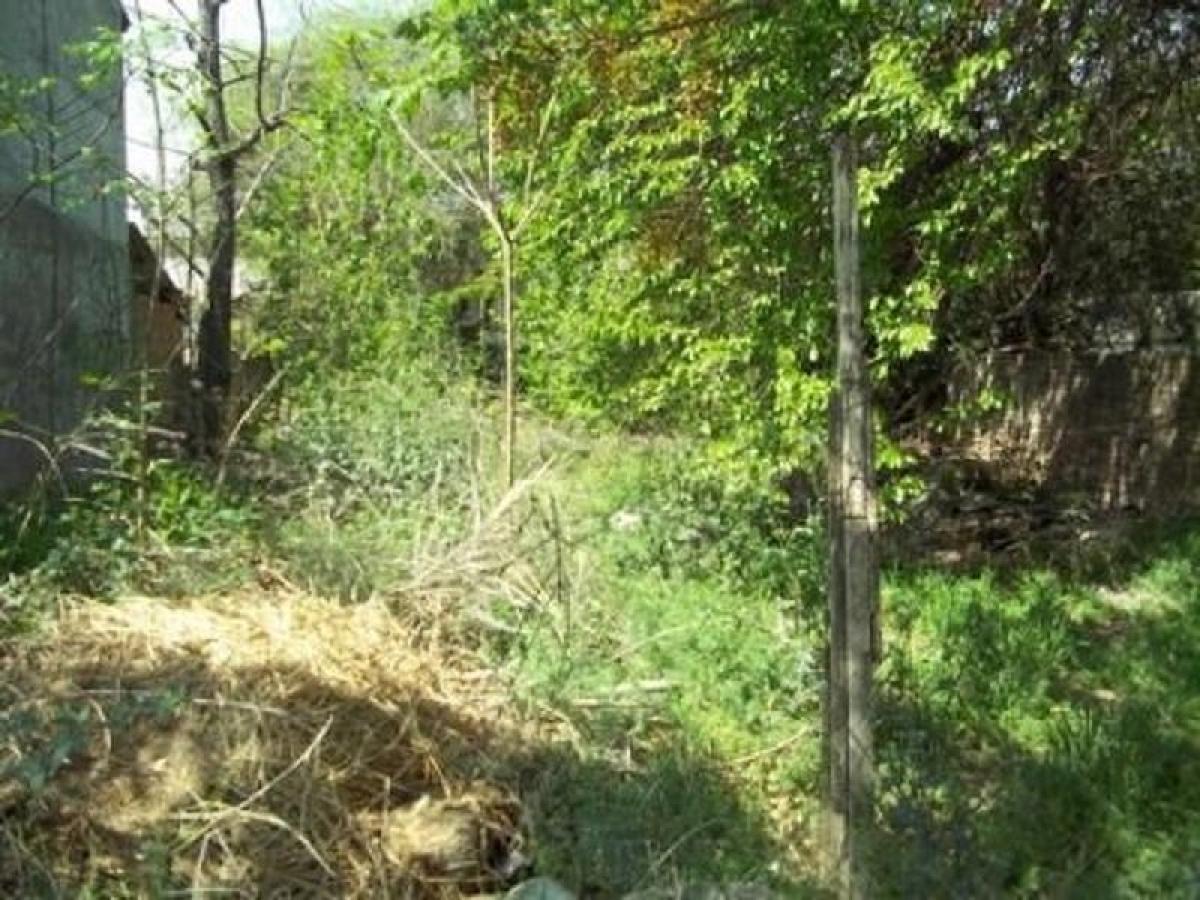  Land in Ituzaingo, Argentina No. 115338