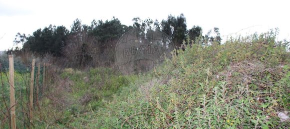 3 bedrooms House in Penela, Portugal No. 189186 16