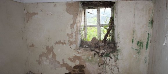 3 bedrooms House in Penela, Portugal No. 189186 11