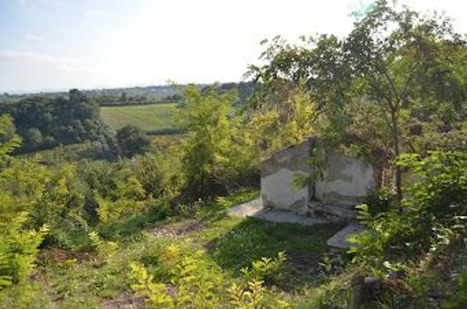 Земельный участок 4995м² в Казальбордино, Италия № 256839