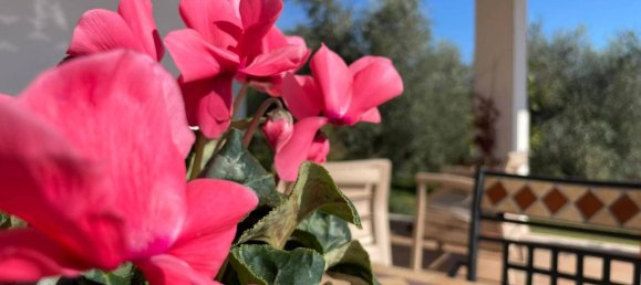 5 bedrooms Villa in Isola del Liri, Italy No. 57799 16