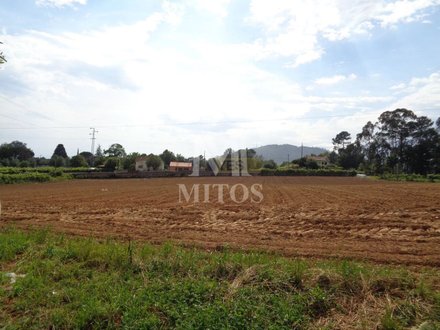 Grundstück in Viana do Castelo, Portugal 5303m², Nr. 73779