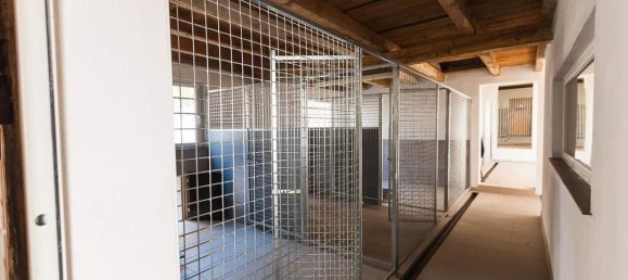 7-Zimmer Bauernhof in Rheinland-Pfalz, Germany, Nr. 261116 13