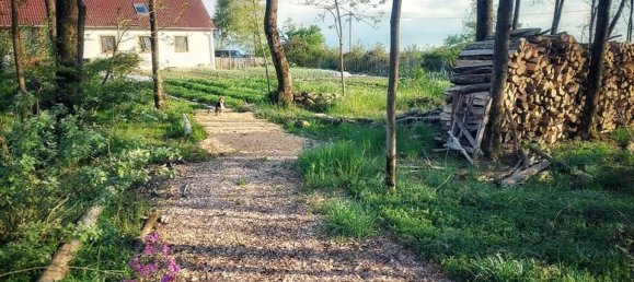 7-Zimmer Bauernhof in Rheinland-Pfalz, Germany, Nr. 261116 2