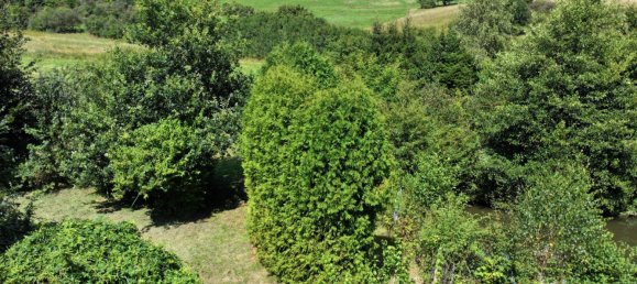  Land in Siegen-Wittgenstein, Germany No. 275922 6