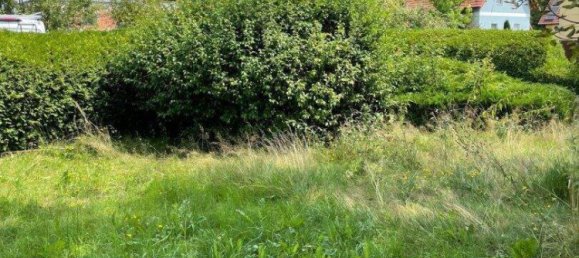 Terreno en Frauental an der Lassnitz, Austria 75 m² No. 231056 5