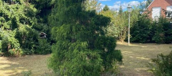 3غرفة منزل في Wolfenbuttel, Germany رقم 274274 24