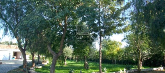 4 bedrooms House in Sao Bras de Alportel, Portugal No. 57318 14