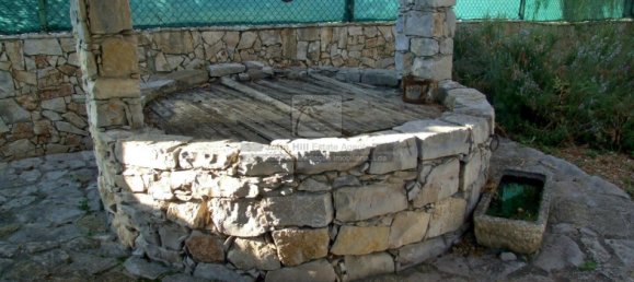 4 bedrooms House in Sao Bras de Alportel, Portugal No. 57318 15