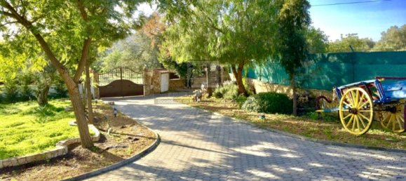 4 bedrooms House in Sao Bras de Alportel, Portugal No. 57318 13