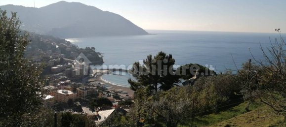 2 Schlafzimmer Villa in Recco, Italy, Nr. 259672 4