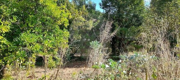 6 غرف نوم منزل في Anadia, Portugal رقم 48426 12