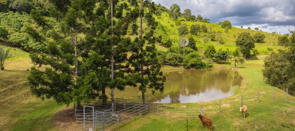 Granja de 3 dormitorios en Kanigan, Australia No. 696 29