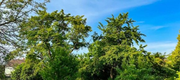 14 rooms Farm in Gorlitz, Germany No. 201568 38