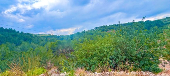 518m² Land in Valencia, Spain No. 163647 2