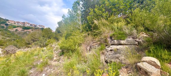 518m² Land in Valencia, Spain No. 163647 6