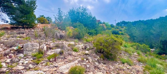 518m² Land in Valencia, Spain No. 163647 8