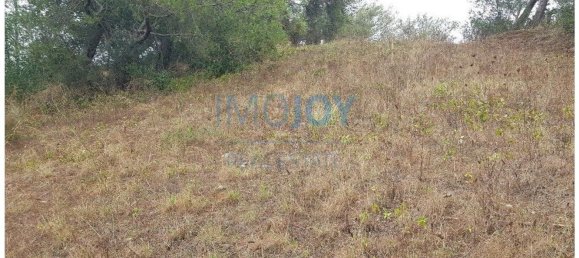 8080m² Land in Cascais, Portugal No. 135844 6