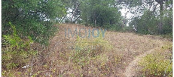 8080m² Land in Cascais, Portugal No. 135844 20