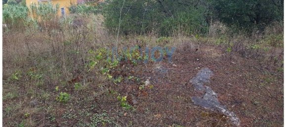 8080m² Land in Cascais, Portugal No. 135844 3