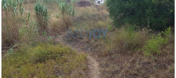 8080m² Land in Cascais, Portugal No. 135844 18