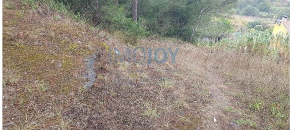 8080m² Land in Cascais, Portugal No. 135844 19