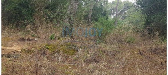 8080m² Land in Cascais, Portugal No. 135844 21