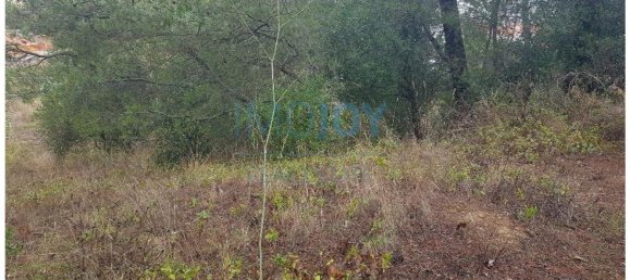 8080m² Land in Cascais, Portugal No. 135844 22