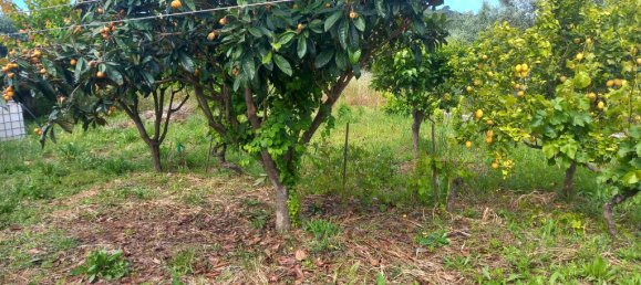 Дом с 4 спальнями в Томар, Португалия № 150852 47